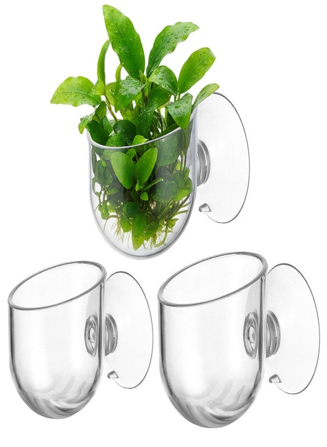 WJIAAA 3 Pcs Aquarium Plant Holder, 2 Sizes Fish Tank Aquatic Plant Pot with Suction Cups, Red Worm Fish Feeder, Acrylic Clear Round Betta Tank Accessories for Water Feature Decoration - Image 1
